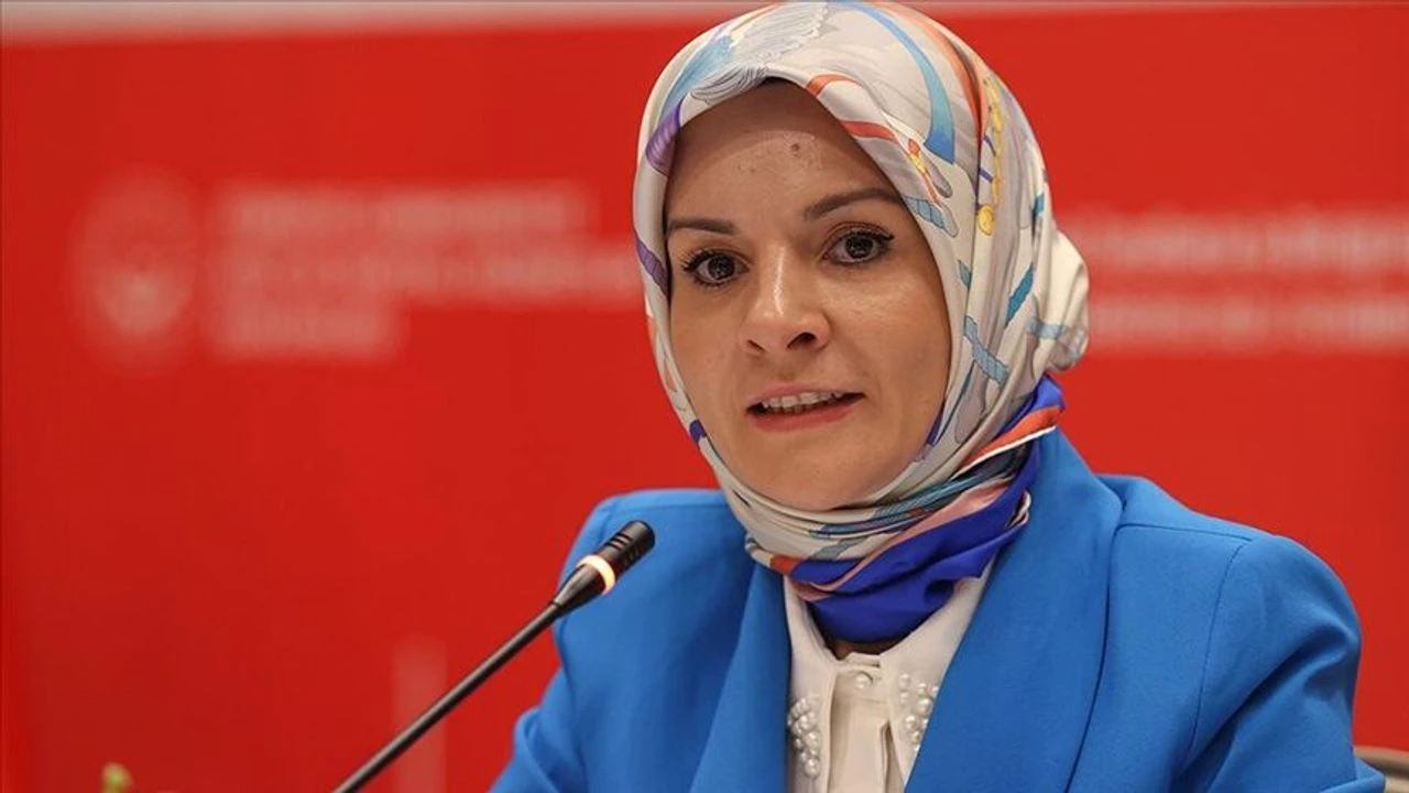 Bakan Göktaş sosyal medya düzenlemesinin detaylarını açıkladı