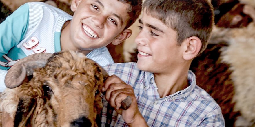 Gazze’ye bakıp imanı göremeyen çağın körlüğü