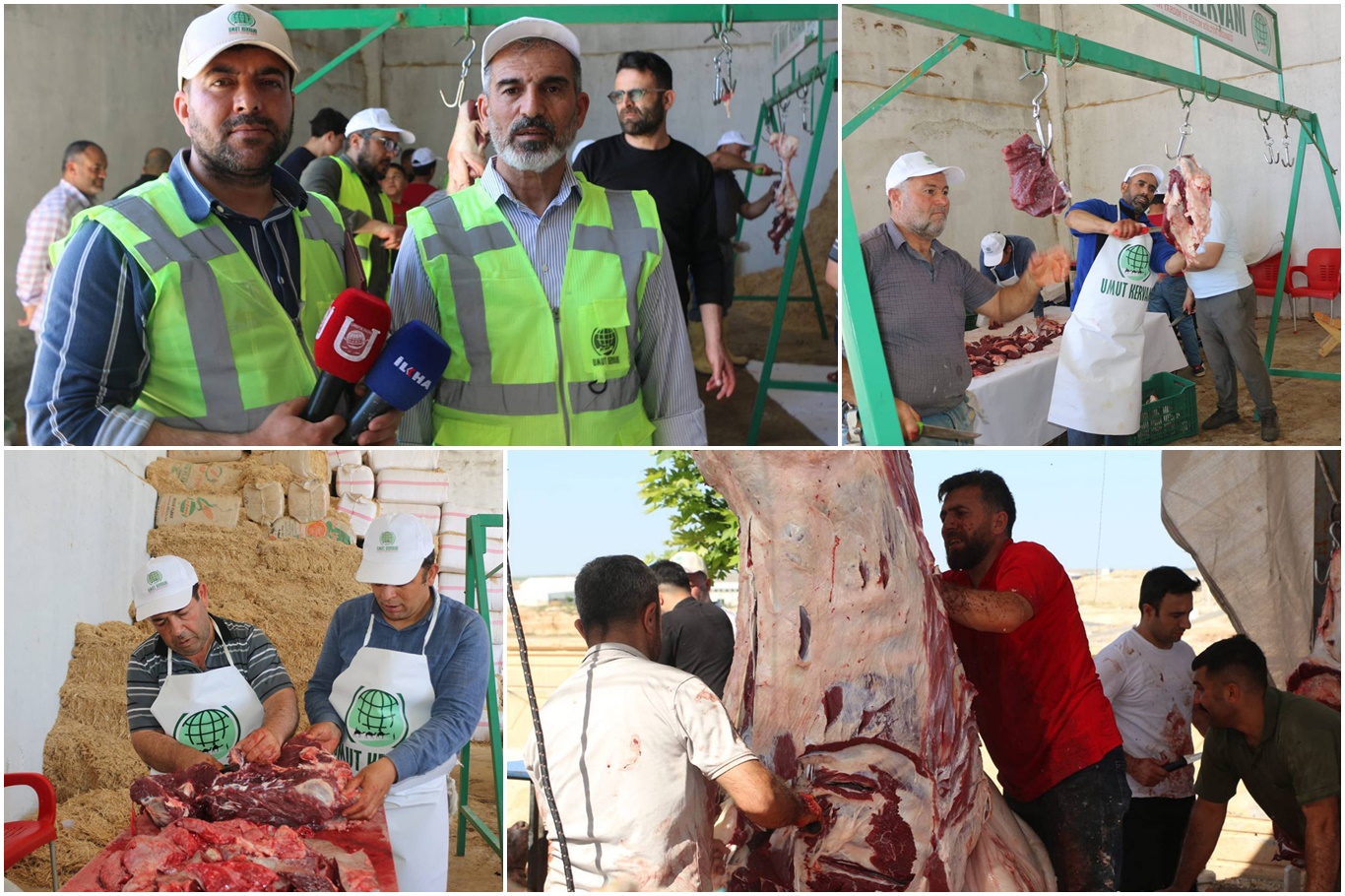Şanlıurfa'da Umut Kervanı tarafından kurban kesimi gerçekleştirildi