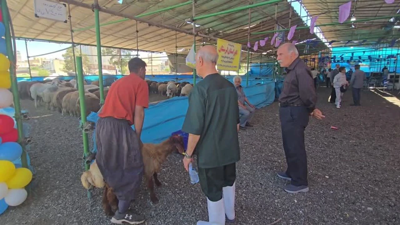 Tahran'da kurban pazarları hareketlendi
