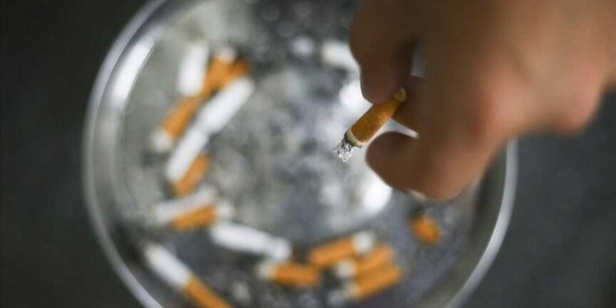 DSÖ, tütün kullanımının her yıl 7 milyondan fazla kişinin ölümüne neden olduğunu bildirdi