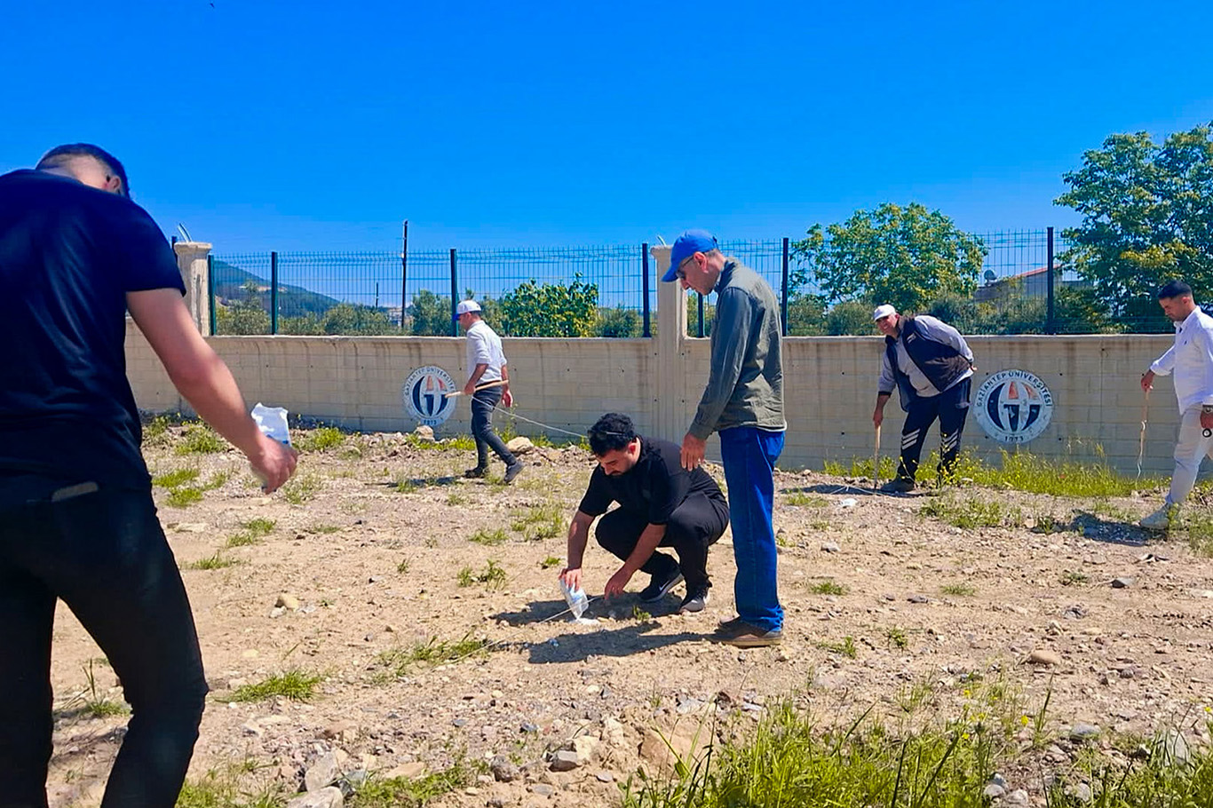 Gaziantep'te bin zeytin fidanı toprakla buluşturuldu