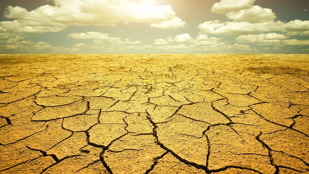 El Niño bu sene dünyayı sıcaktan kavuracak