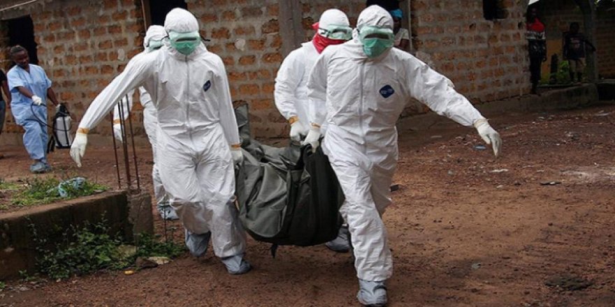 Akıllı telefonlar ölümcül Ebola virüsünü nasıl tetikliyor?