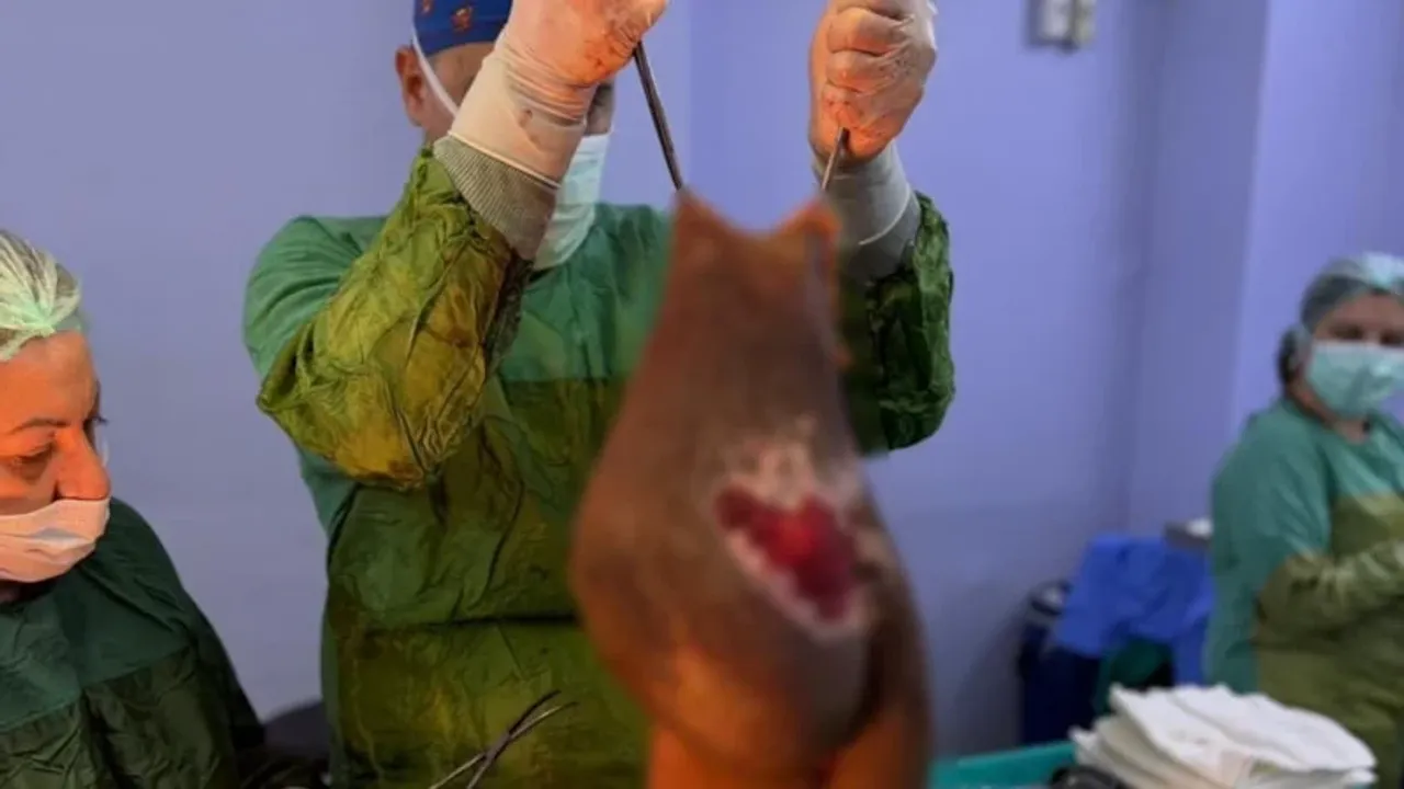 Aydın'da yaşayan kadının karnından 40 kilogram kitle çıkarıldı