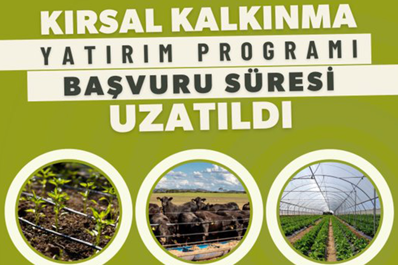 Kırsal kalkınma yatırımları için hibe başvuru süresi uzatıldı
