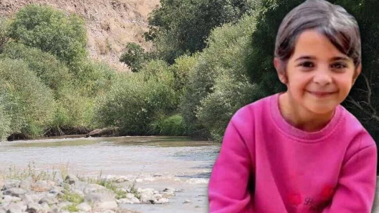 Narin Güran'ın köyünde muhtarlık seçimi düzenleniyor
