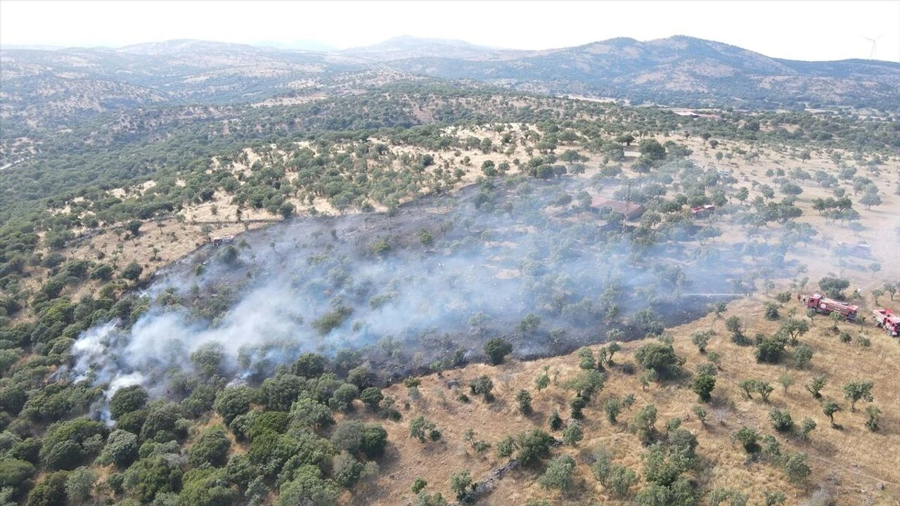 Çanakkale'de çıkan arazi yangınına havadan ve karadan müdahale ediliyor