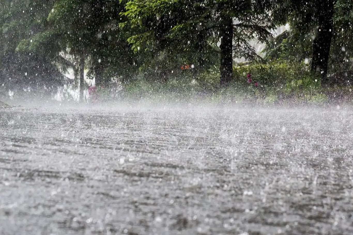 Meteoroloji’den çok sayıda il için kuvvetli yağış uyarısı