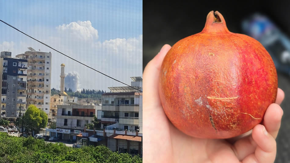 Duyularımız hatırlar