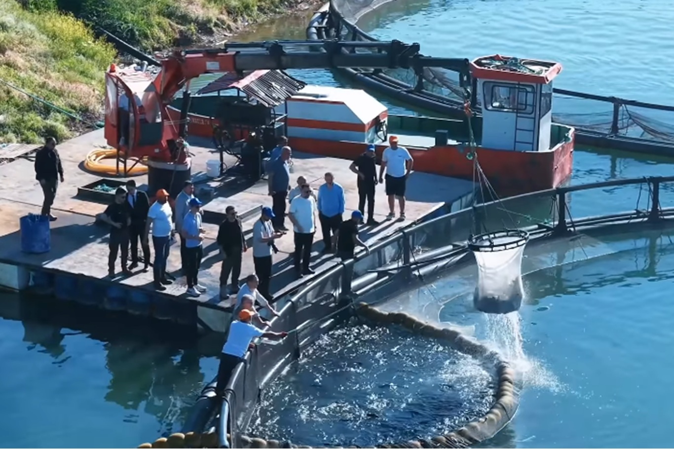 Bingöl’de alabalık hasadı: Vali Çelik su ürünleri tesisinde incelemelerde bulundu