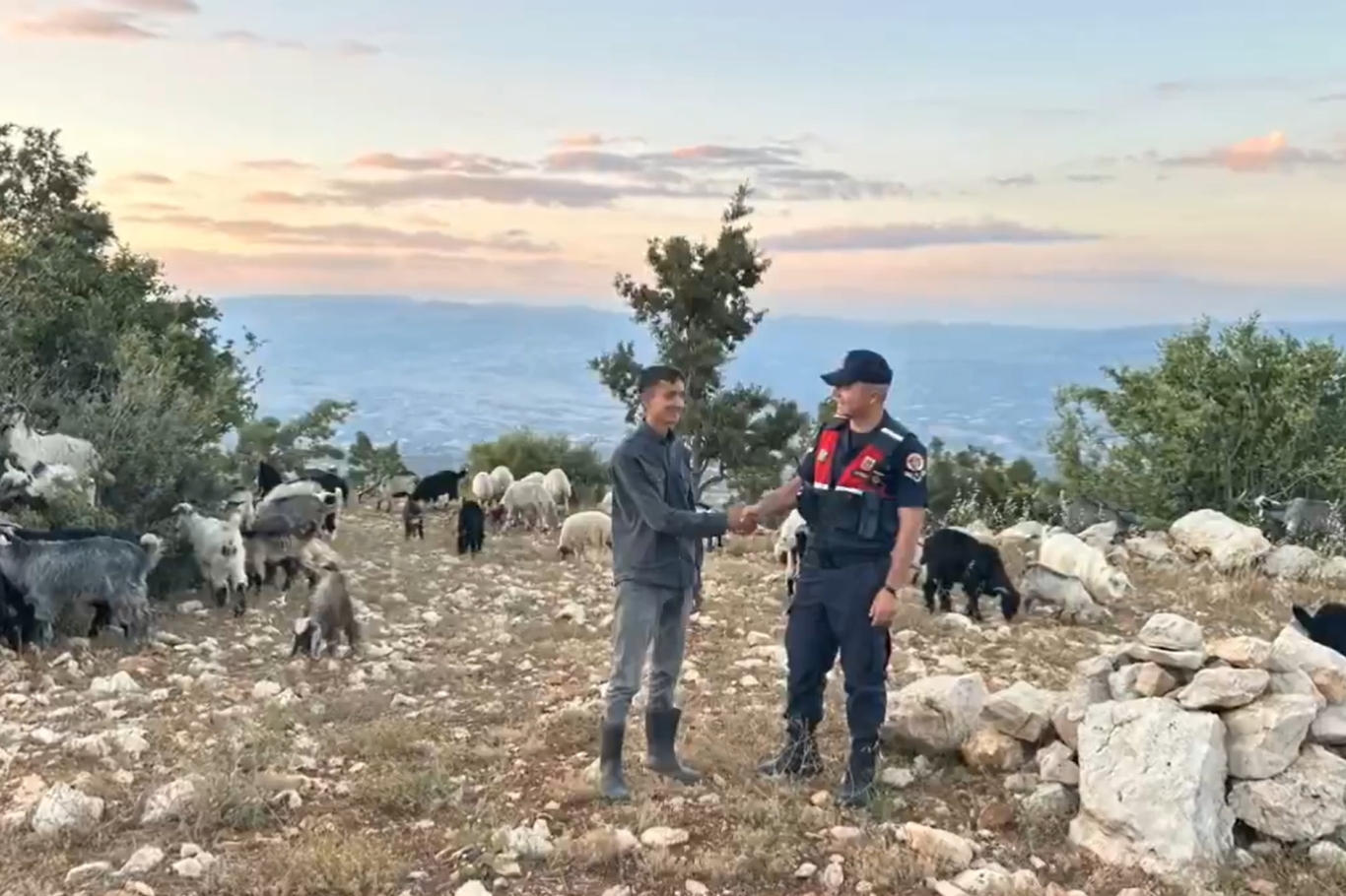 Mersin'de kaybolan 40 küçükbaş hayvan dron destekli aramayla bulundu
