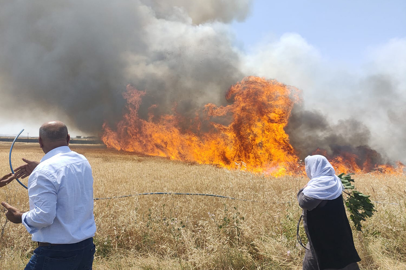 Diyarbakır'da buğday tarlası alevlere teslim oldu