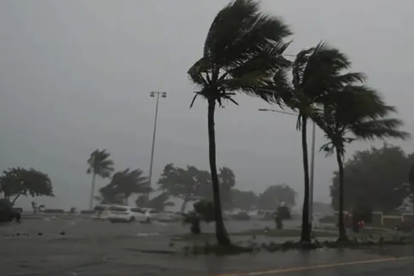 Meteorolojiden İzmir için fırtına uyarısı