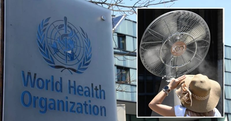 DSÖ: Avrupa'da yüksek sıcaklıklar nedeniyle 1300 kişi hayatını kaybetti