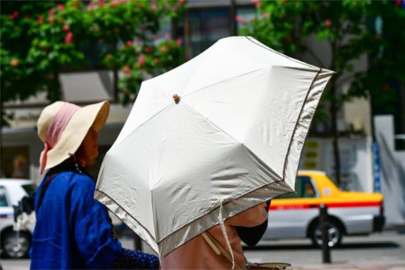 Aşırı sıcaklar kadınlarda kalp ve dolaşım sistemi riskini artırıyor