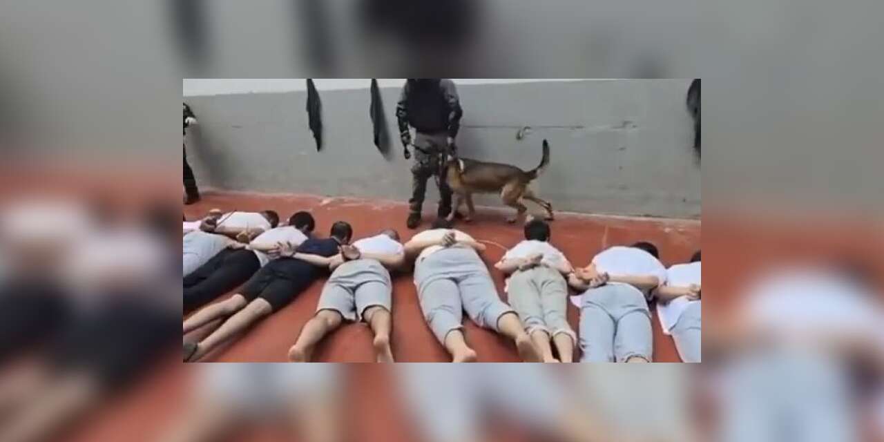 Filistin esir araştırmaları Merkezi: 52 esir işkence sonucu şehit oldu
