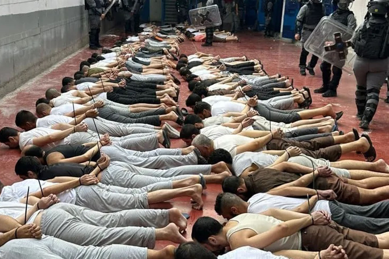 Filistin Esir Çalışmaları Merkezi: Gazzeli tutsaklar yer altında mezar gibi hücrelerde tutuluyor