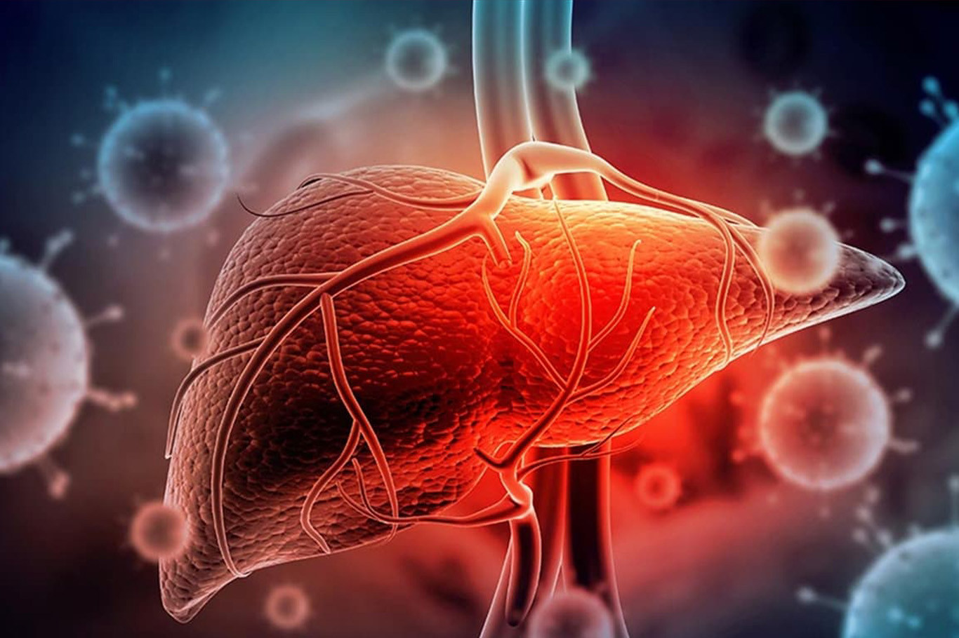 Dünya Hepatit Günü: 287 milyon kişi kronik hepatitle yaşıyor